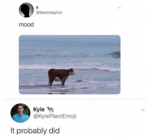 @beensayinn mood Kyle @KylePlantEmoji К probably did
