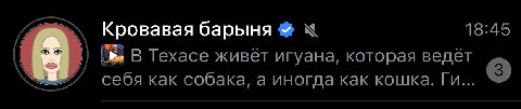 Это пиздец Павла
