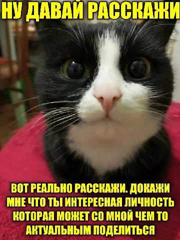 ДАВАИ РАССКАЖИ ВОТ РЕАЛЬНО РАССКАЖИ. ДОКАЖИ МНЕЧТО ТЫ! ИНТЕРЕСНАЯ ЛИЧНОСТЬ КОТОРАЯ МОЖЕТ МНОЙ ЧЕМ ТО АКТУАЛЬНЫМ ПОДЕЛИТЬСЯ