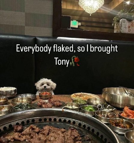 Everybody flaked, so Tony