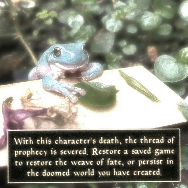 With death, the thread of prophecy is severed. Restore a saved game to restore the weave of fate, or persist in the doomed world you have created.