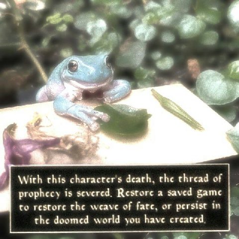 With death, the thread of prophecy is severed. Restore a saved game to restore the weave of fate, or persist in the doomed world you have created.