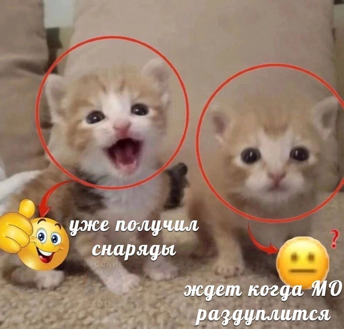 уже получил снаряды ждет когда Я 0 раздуплится,