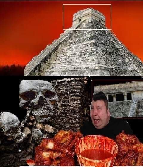wel 5