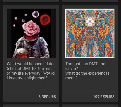 DMT and LSD force will kill /x/ one day
I hate it