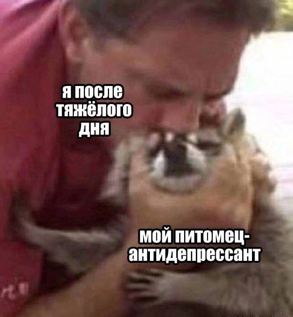 я после тяжёлого ДНЯ мой питомец- антидепрессант