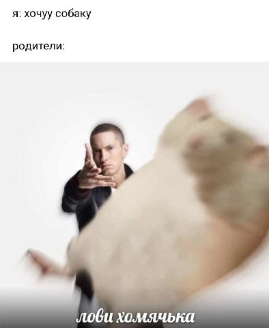 я: хочуу собаку родители: лоби хомянчька