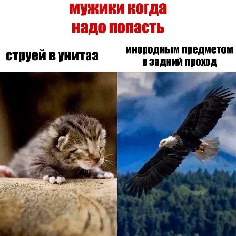 мужики когда надо попасть инородным предметом струей в унитаз задний проход