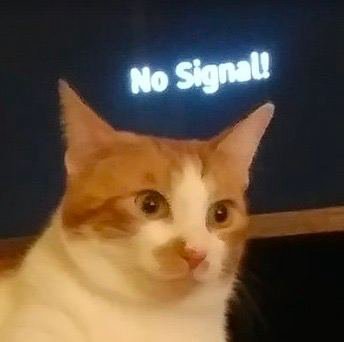 No Signal!