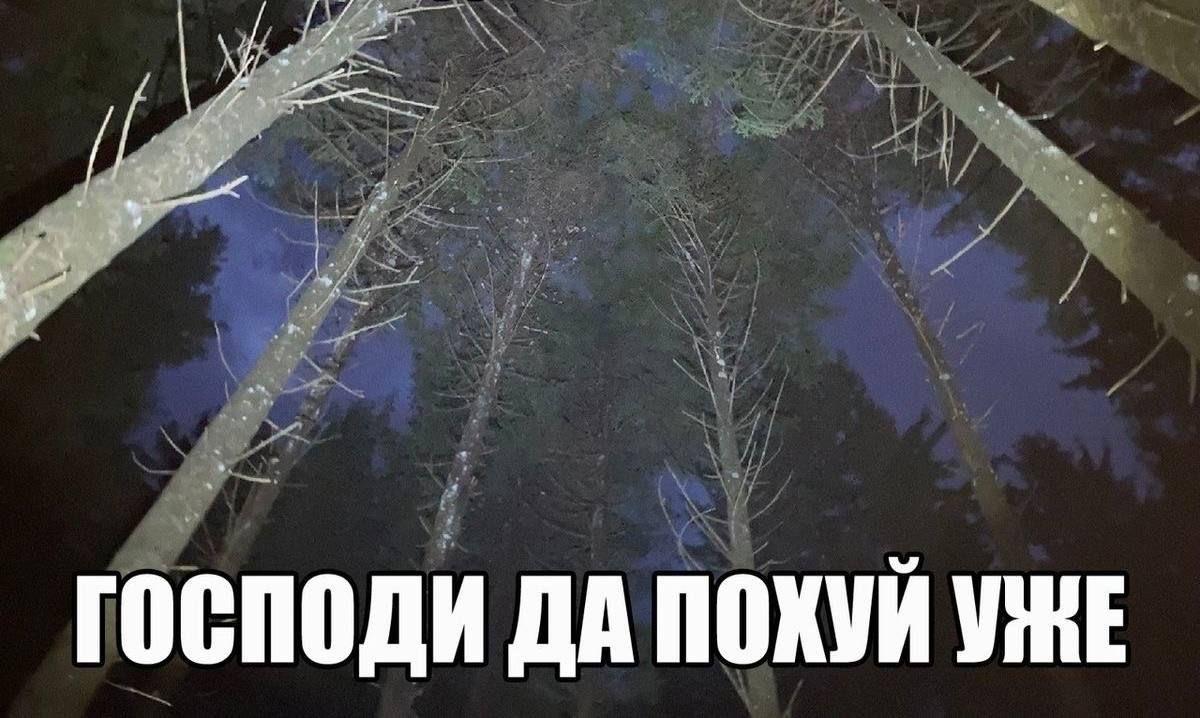 an ГОСПОДИ ДА ПОХУЙ