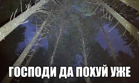 an ГОСПОДИ ДА ПОХУЙ