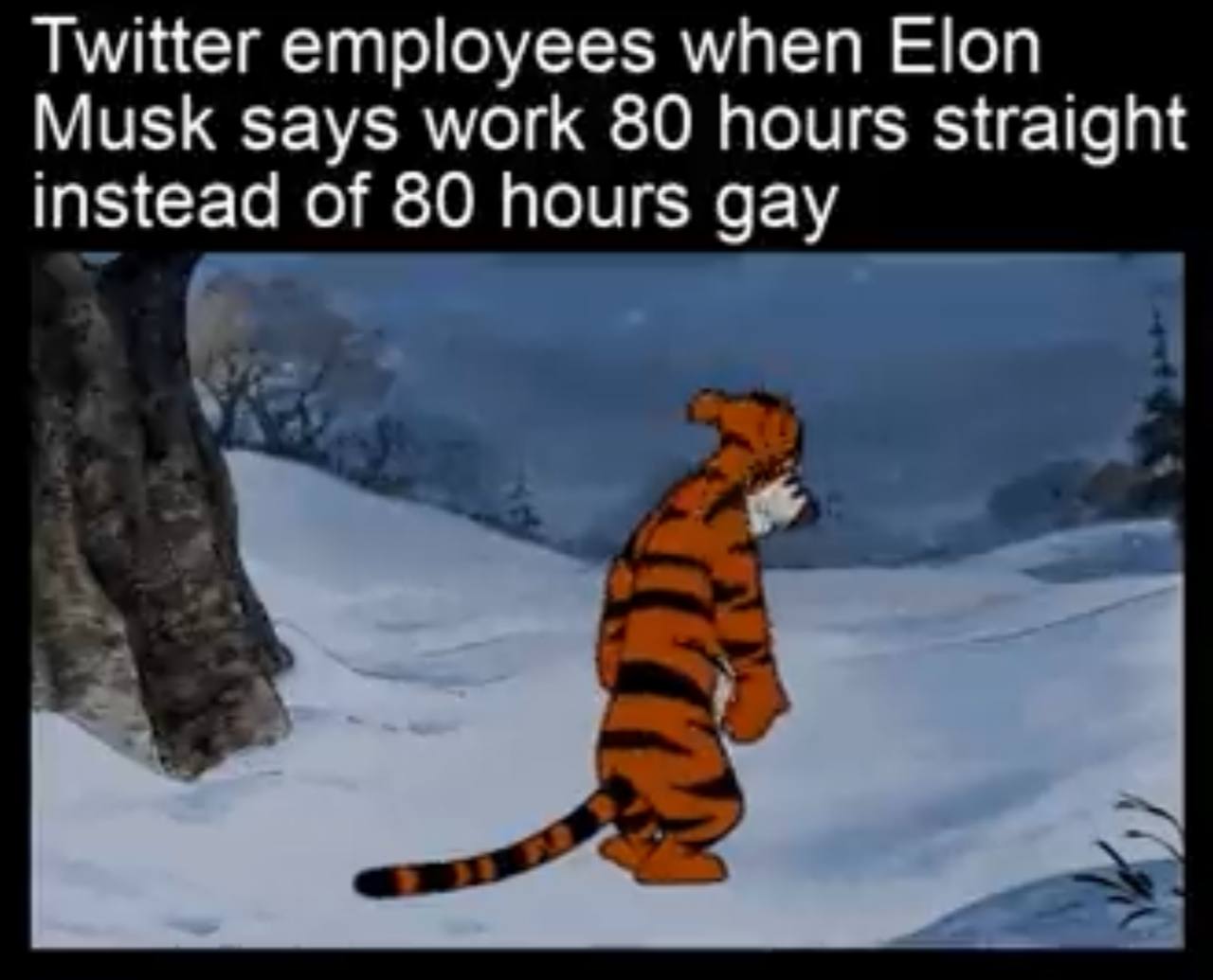 Twitter employees when Elon Musk says work 80 hours Straight instead of 80 hours gay