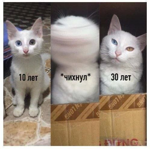 8 30 net