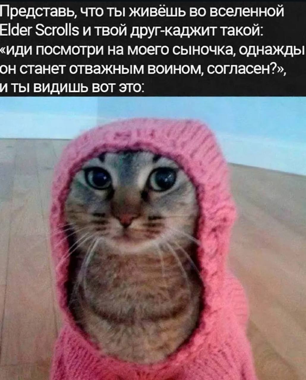Представь, что ты живёшь во вселенной Elder Scrolls и твой друг-каджит такой: «иди посмотри на моего сыночка, однажды он станет отважным воином, согласен?», И ТЫ ВИДИШЬ ВОТ ЭТО: