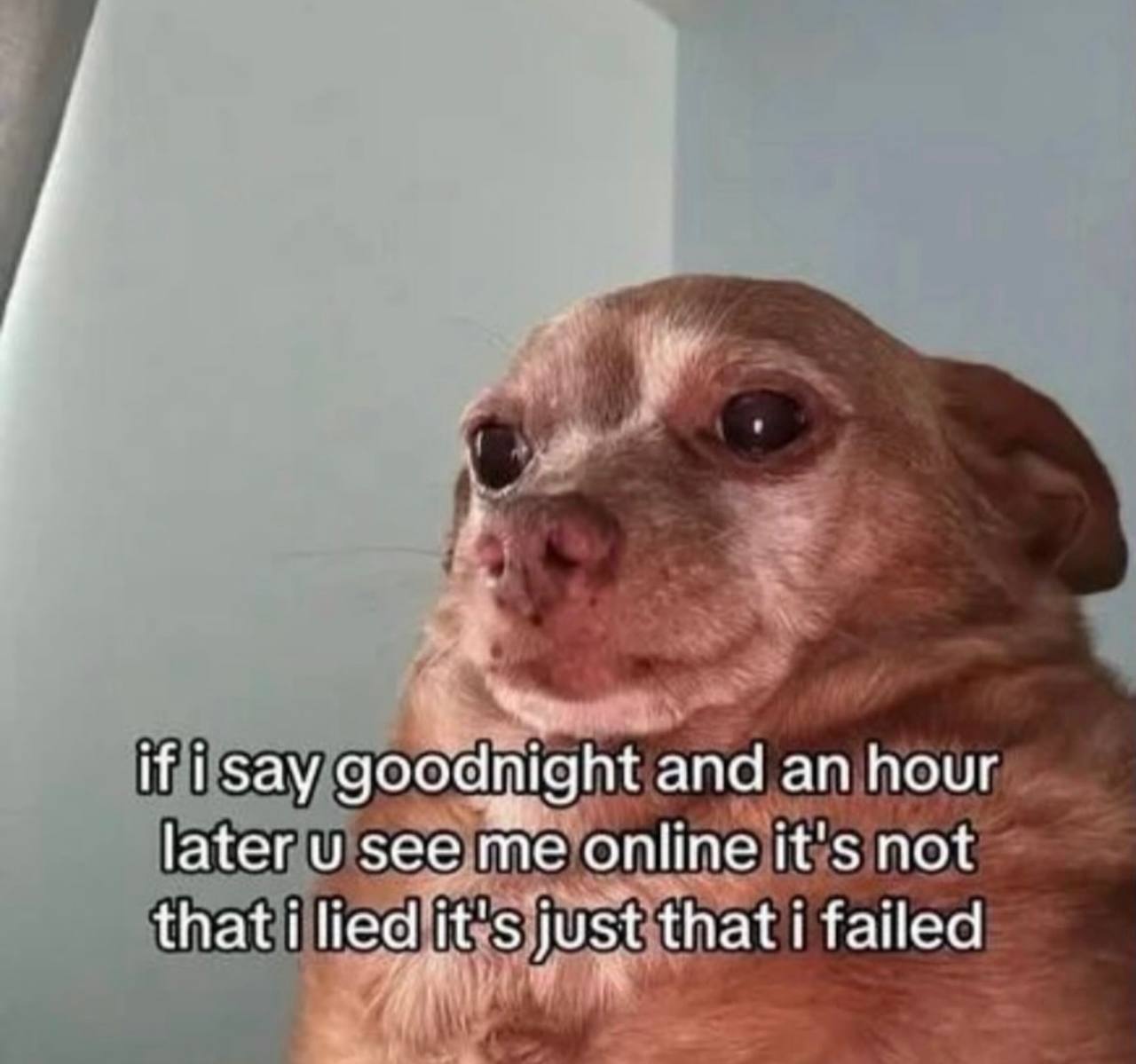 a if goodnight and an hour later see me online it's not that i just that i failed
