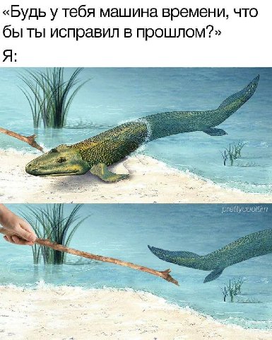 «Будь у тебя машина времени, что бы ты исправил в прошлом?» Я: ill
