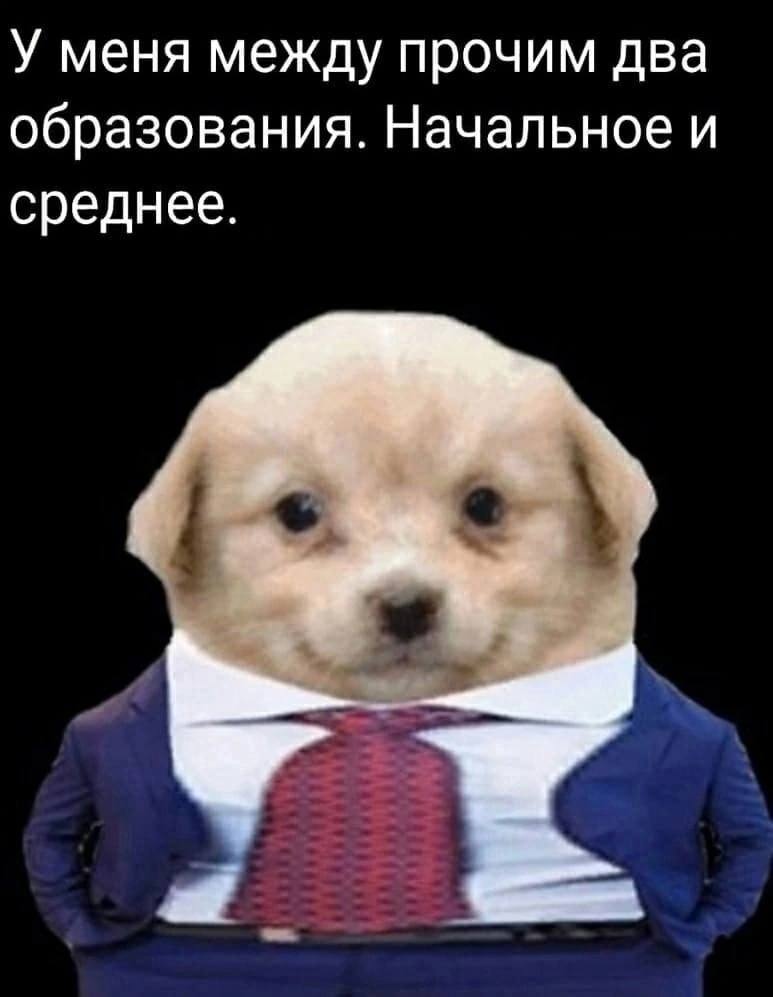 У меня между прочим два образования. Начальное и среднее.