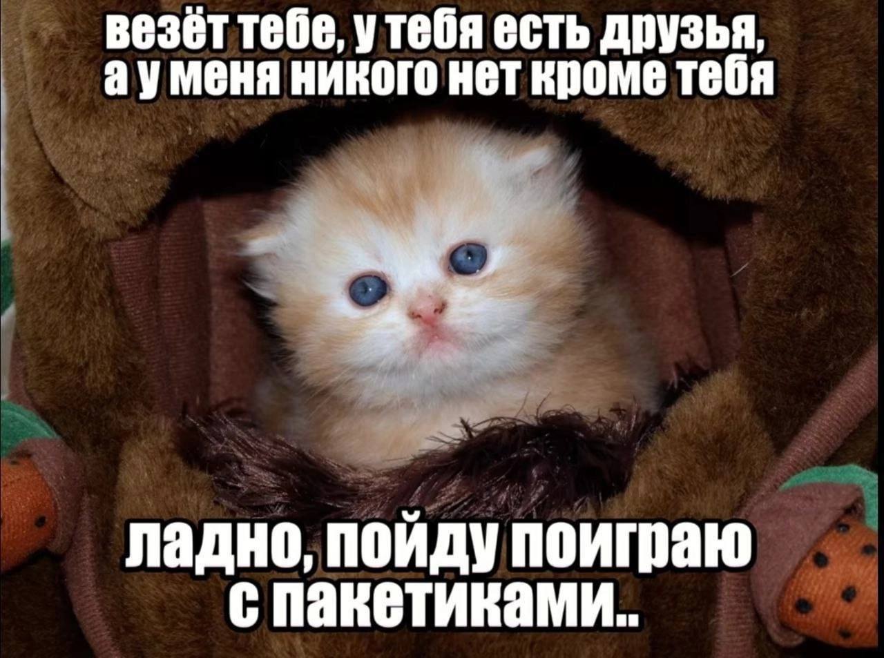 везёт тебе, утебя есть друзья, ауменя никого нет кроме тебя ладно, пойду поиграю с пакетиками..