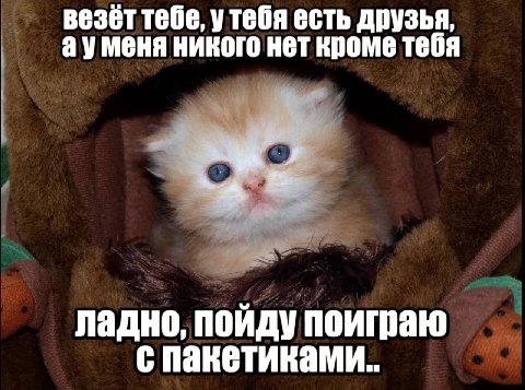 везёт тебе, утебя есть друзья, ауменя никого нет кроме тебя ладно, пойду поиграю с пакетиками..