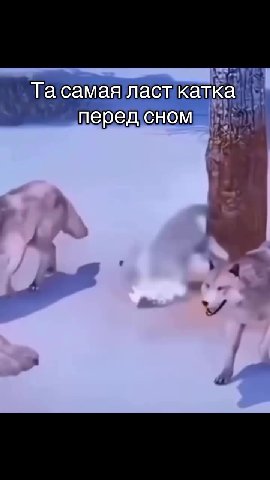 АбЕМЕЯ ЛЕТ КЕ пережсном Та самая ласткатка › передсном yh)