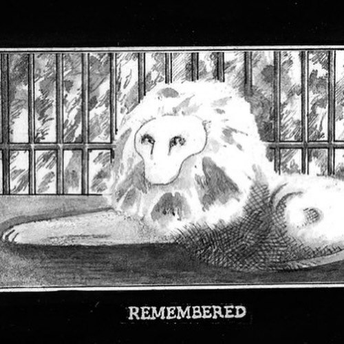 4 REMEMBERED