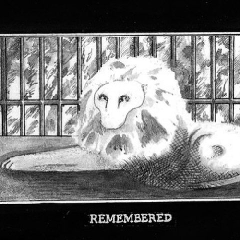 4 REMEMBERED