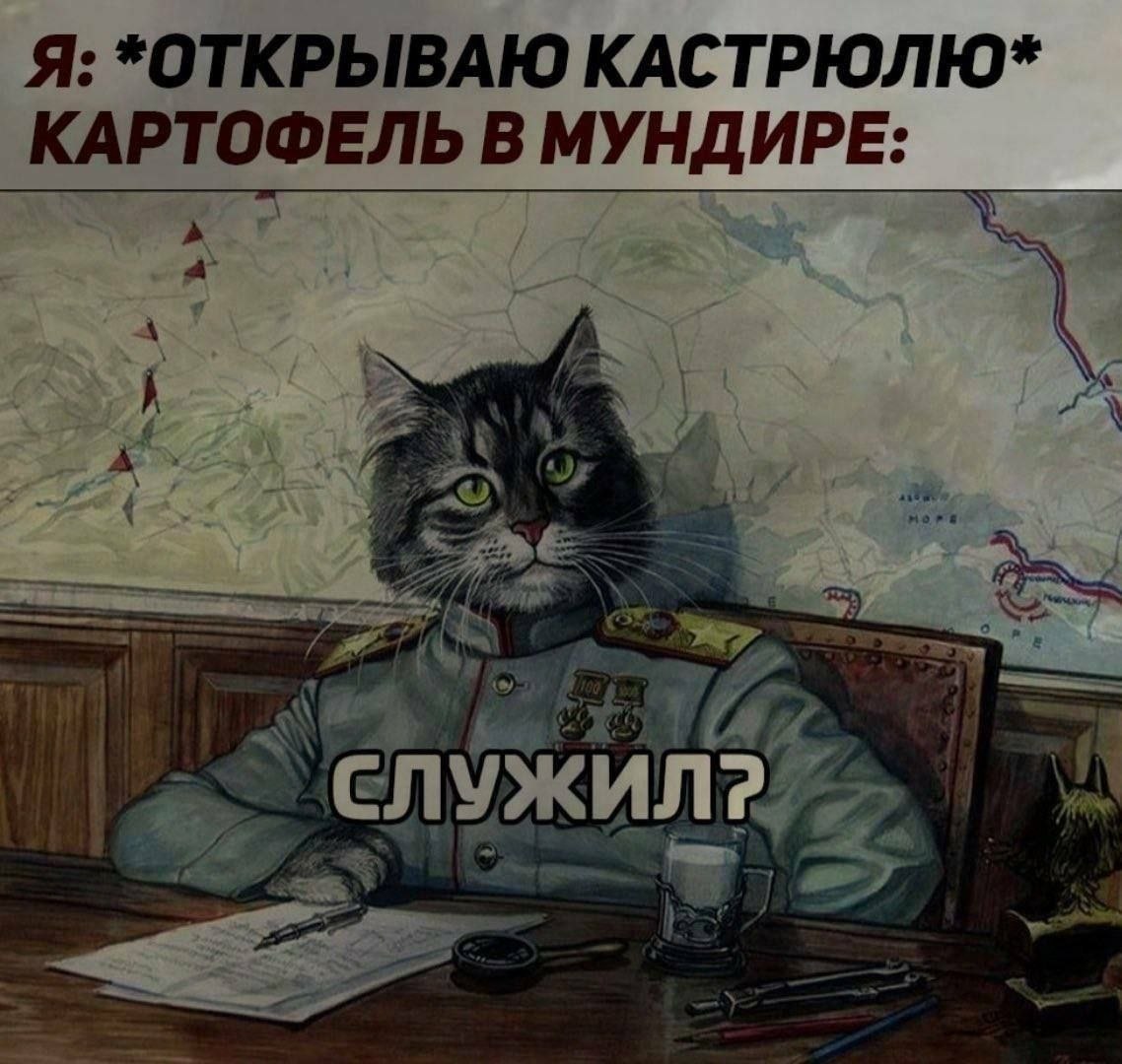 Я: *ОТКРЫВАЮ КАСТРЮЛЮ* КАРТОФЕЛЬ В МУНДИРЕ: СЛУЖИЛ
