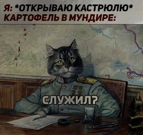 Я: *ОТКРЫВАЮ КАСТРЮЛЮ* КАРТОФЕЛЬ В МУНДИРЕ: СЛУЖИЛ