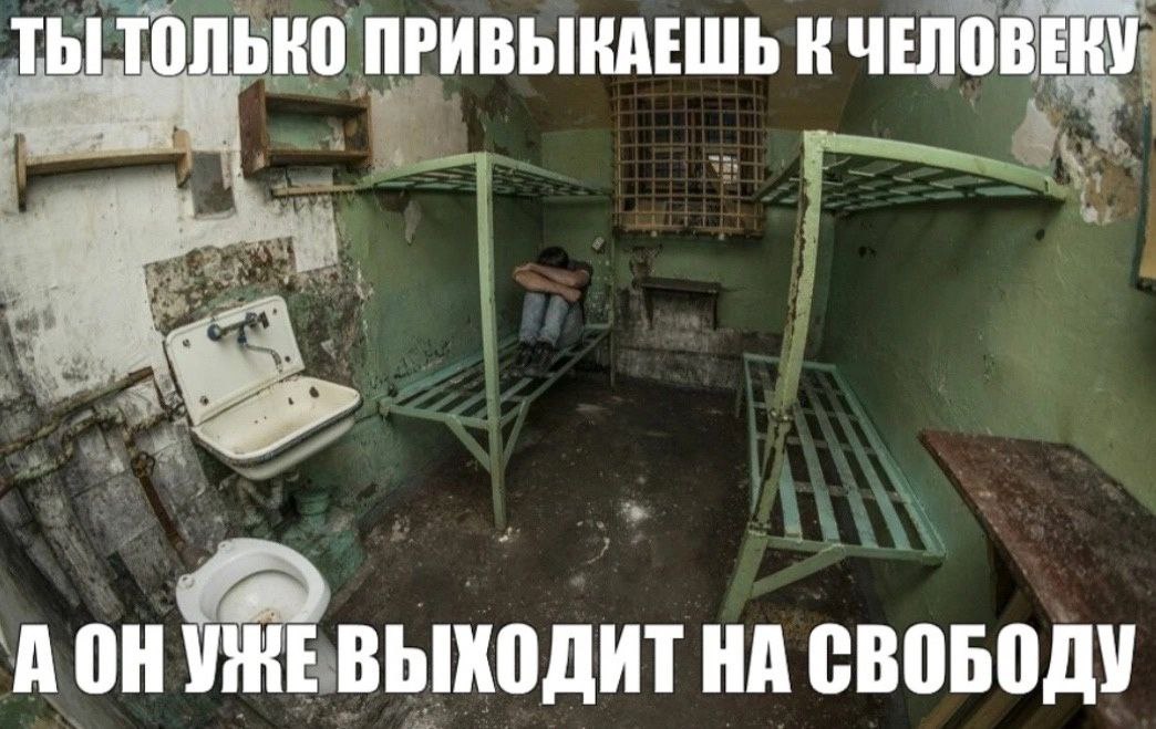ТЫ ТОЛЬКО ПРИВЫКАЕШЬ К ЧЕЛОВЕКУ AOH ВЫХОДИТ НА СВОБОДУ
