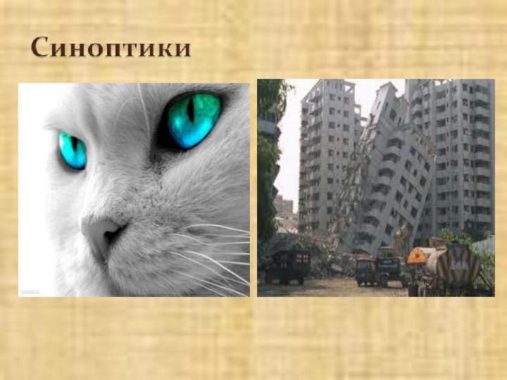 Синоптики