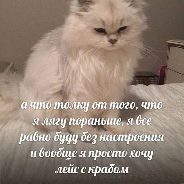 а что толку от того, что я лягу пораньше, я все равно дез настроения и боодше я просто хочу лейс с крадом