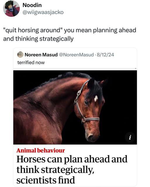 Noodin @wiigwaasjacko "quit horsing around" you mean planning ahead and thinking strategically Noreen Masud @NoreenMasud 8/12/24 terrified now On Animal behaviour Horses can plan ahead and think strat