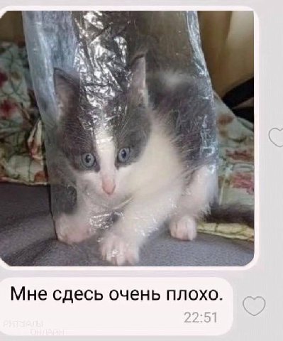 Мне сдесь очень