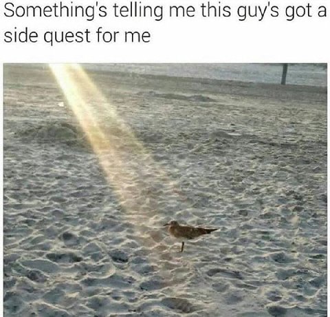 Something's telling me this guy's got a side quest for me