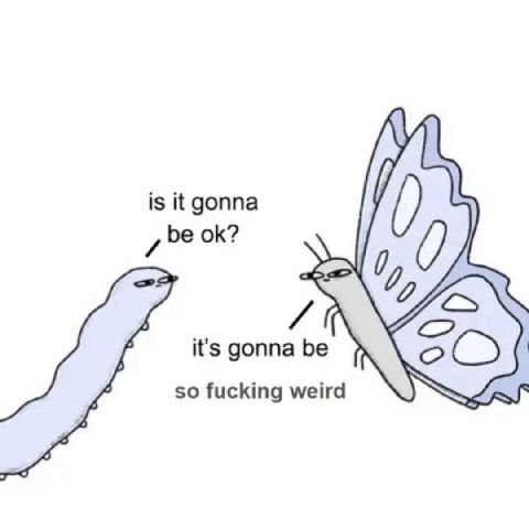 is it gonna be it's gonna be so fucking weird