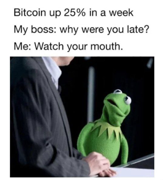 Bitcoin up 25% a week My boss: why were you late? Me: Watch your mouth. 4