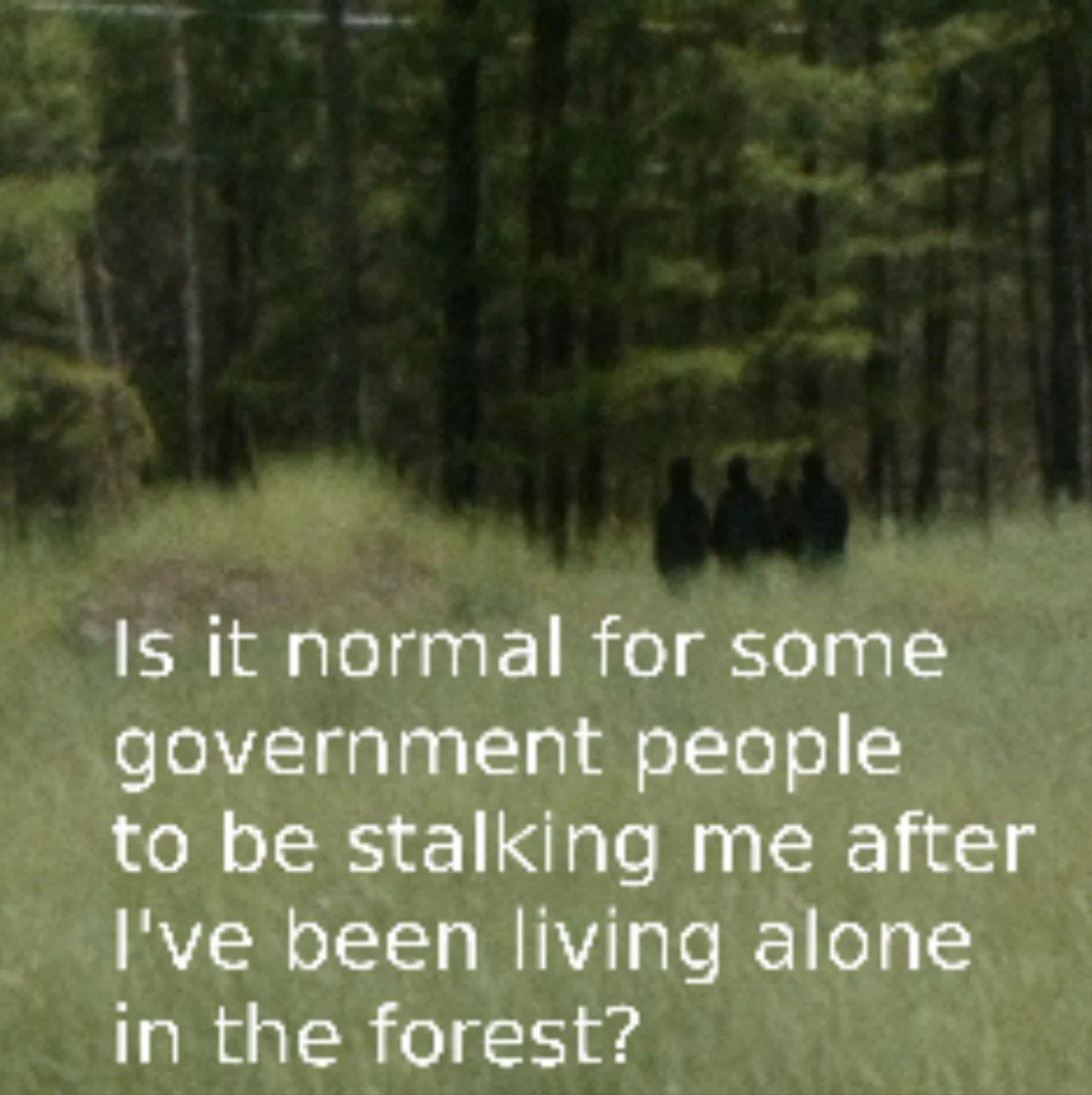 Is it normal for some government people to be stalking me after I've been living alone in the forest?
