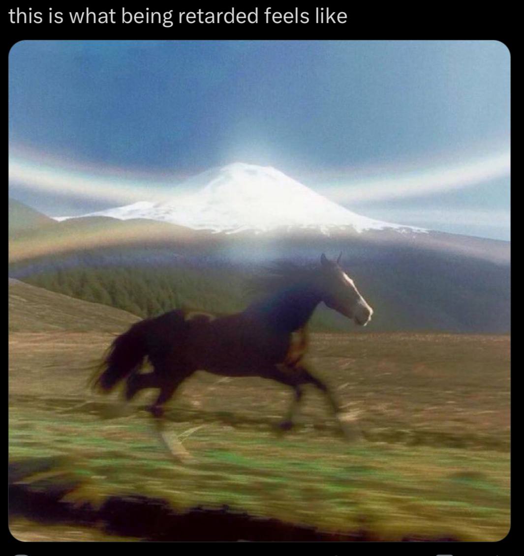 this is what being retarded feels like