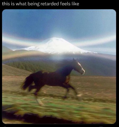 this is what being retarded feels like