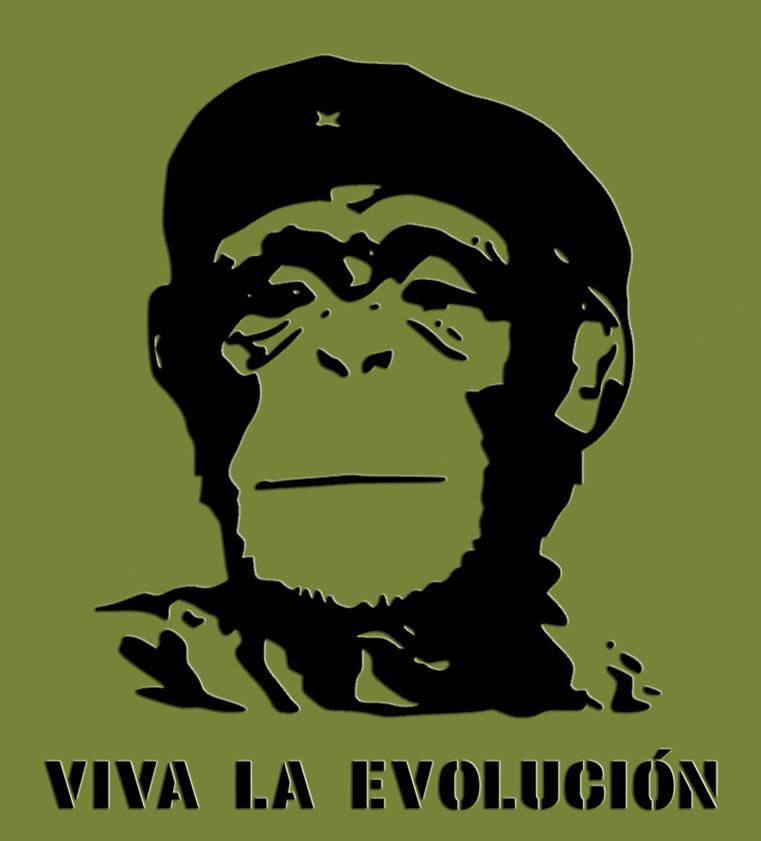 i- WIVA EVOLUGION