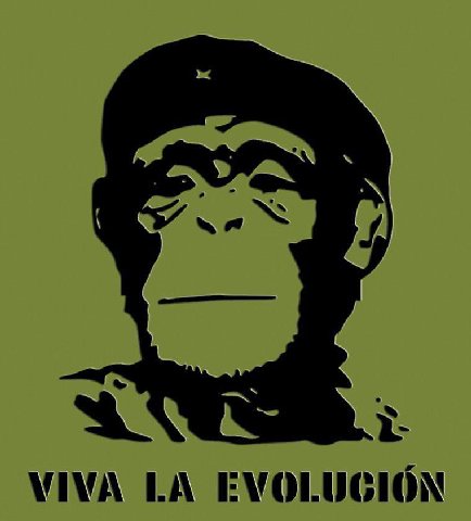 i- WIVA EVOLUGION