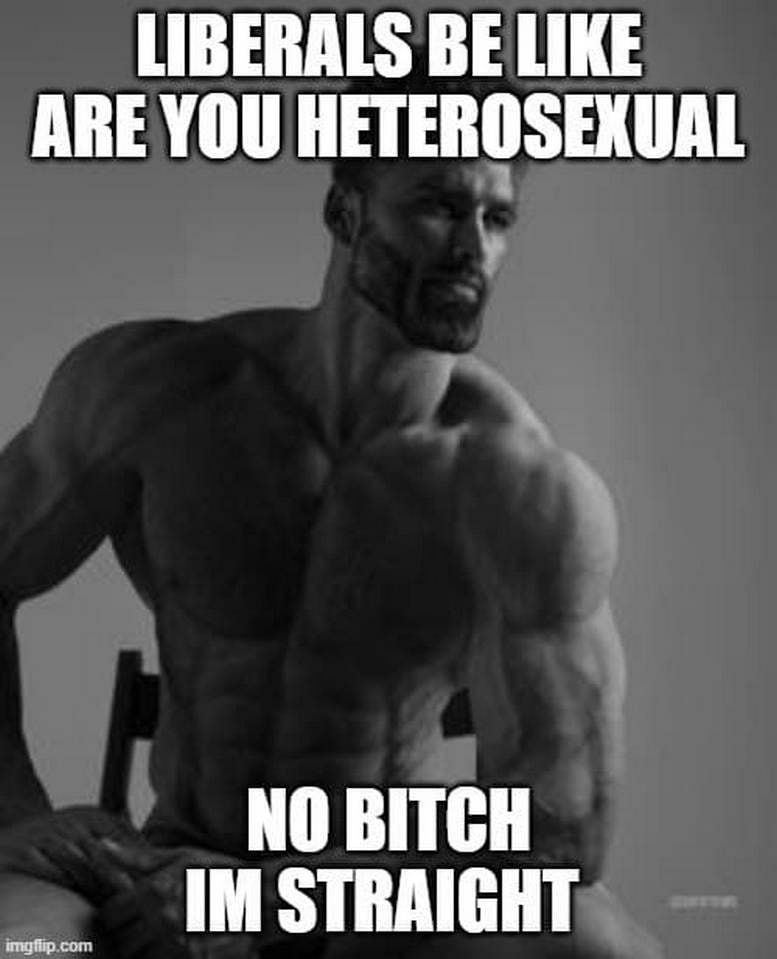LIBERALS BE LIKE ARE YOU HETEROSEXUAL NO BITCH STRAIGHT