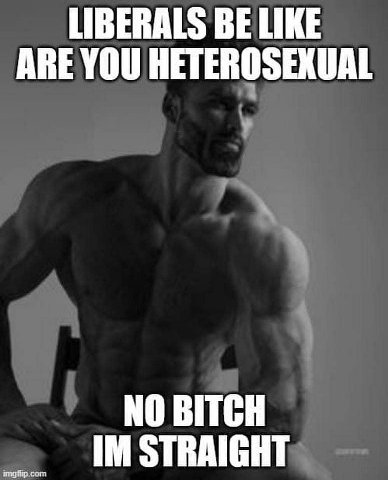 LIBERALS BE LIKE ARE YOU HETEROSEXUAL NO BITCH STRAIGHT