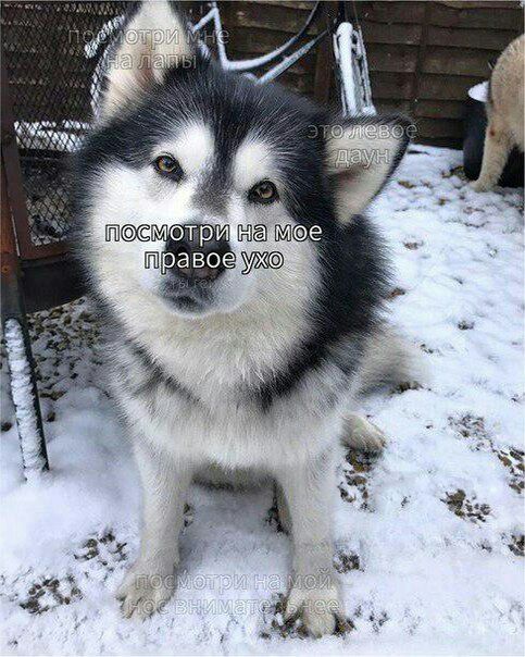 на