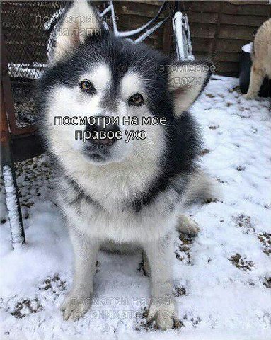 на