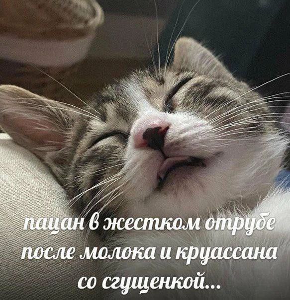 A, С: 6 жестком отр после молока и круассана