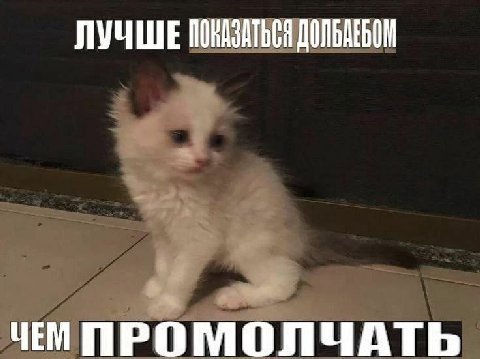 ЛУЧШЕ ПОНАЗАТЬСЯ ЧЕМ ПРОМОЛЧАТЬ