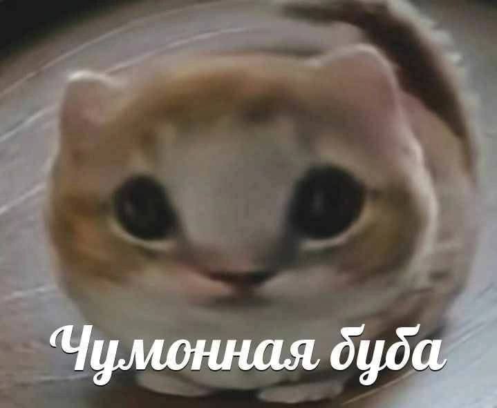 дуда