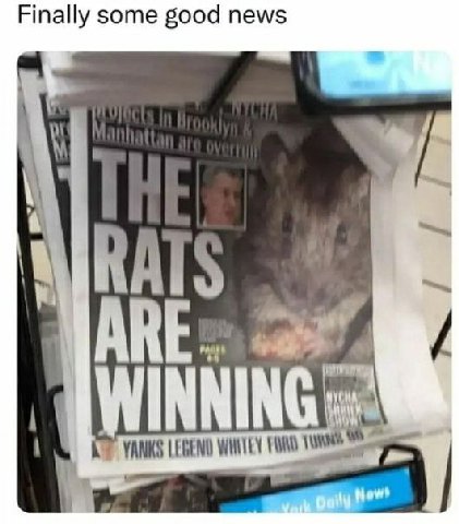 Finally some good news RATS ARE INNIN LEGEND