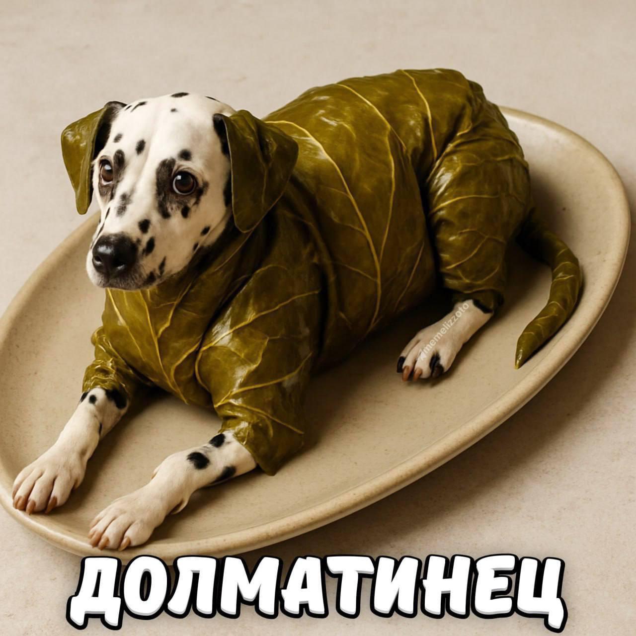 ДОЛМАТИНЕЦ